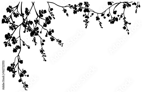 Silhuoette of Rangoon creeper vine border
