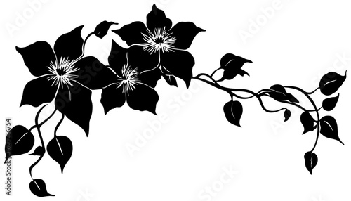 Silhouette of clematis ivy vine decoration