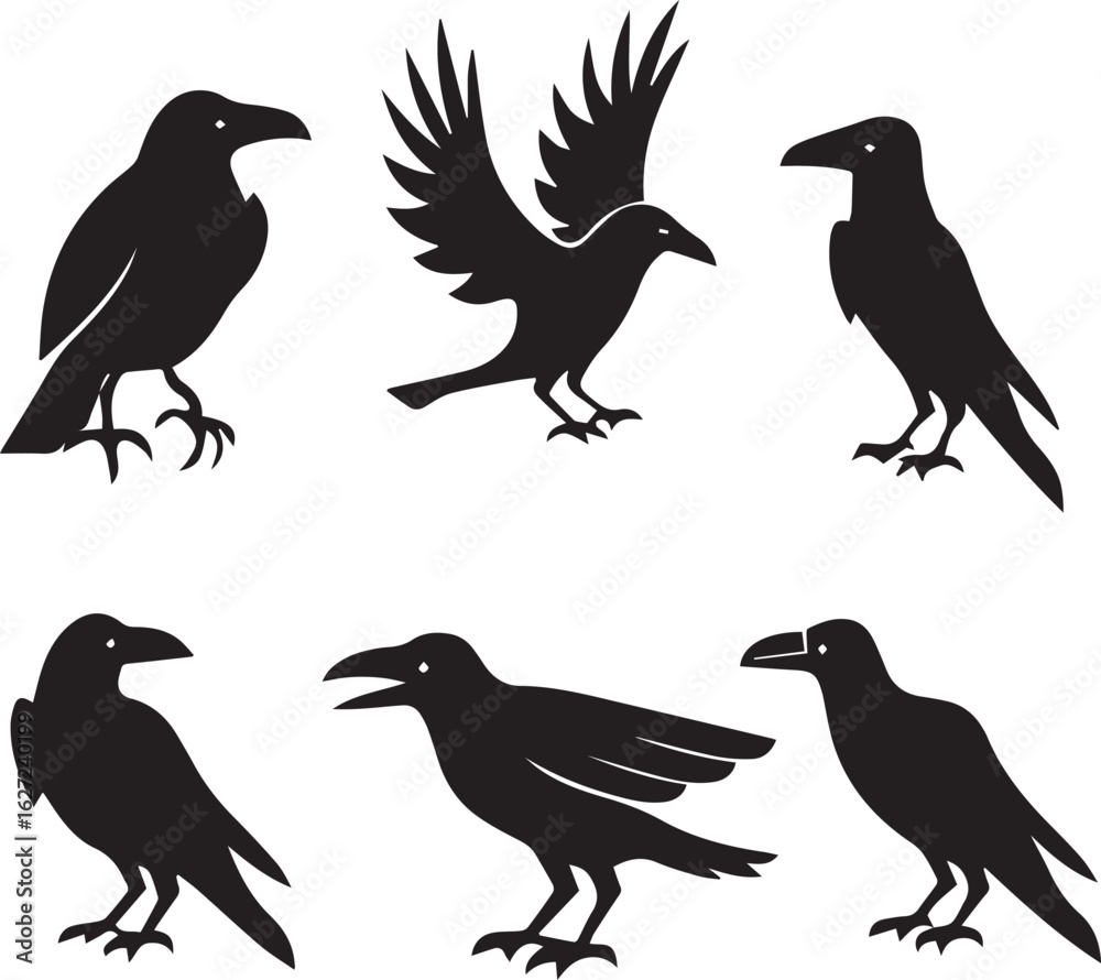 Fototapeta premium set of silhouettes of birds vector design, crow birds silhouette vector bundle
