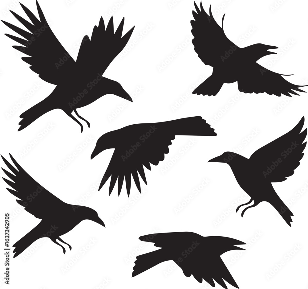 Obraz premium set of silhouettes of birds vector design, crow birds silhouette vector bundle