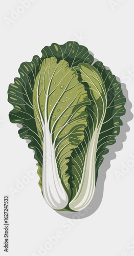 An artistic illustration of a fresh green lettuce head, showcasing its vibrant colors and textures, ideal for highlighting healthy eating and nature's bounty in culinary arts.