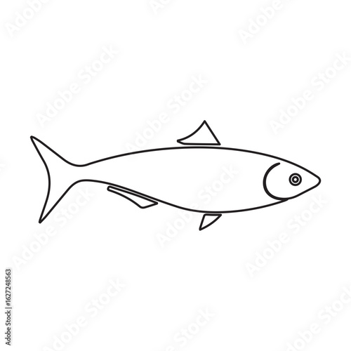 sardine fish line icon