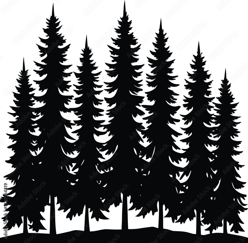 Obraz premium Dense forest with tall pine trees silhouette isolated on transparent background