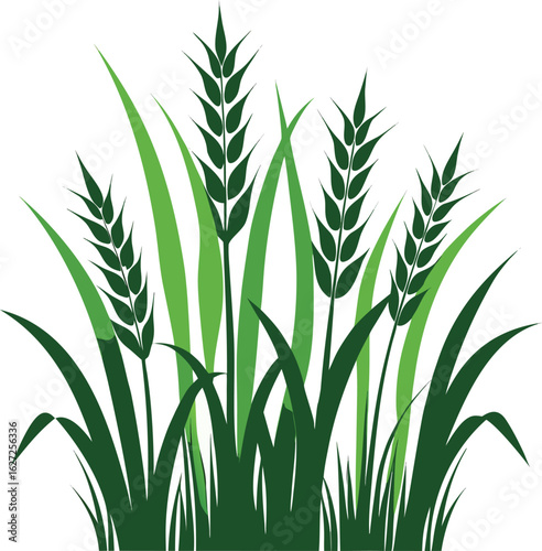 field grass blades silhouette vector