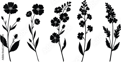 Black floral silhouette, wildflowers vector illustration, botanical plant clipart, decorative flower design elements, isolated nature art on white background