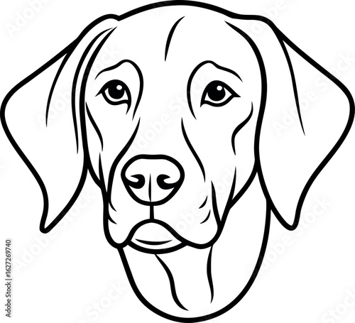 Close up of a dog s head in a simple line drawing silhouette