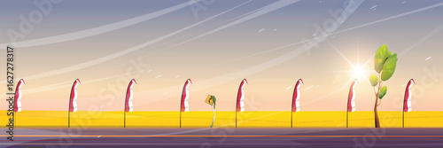 sunset over green grass