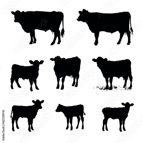 vector illustration of cow calf silhouette set, Black & White silhouette set 