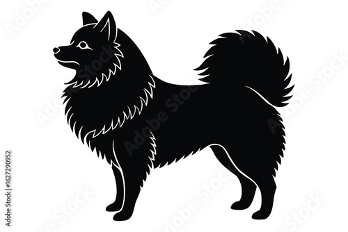 Black Silhouette of a Finnish Spitz Dog Standing on a White Background