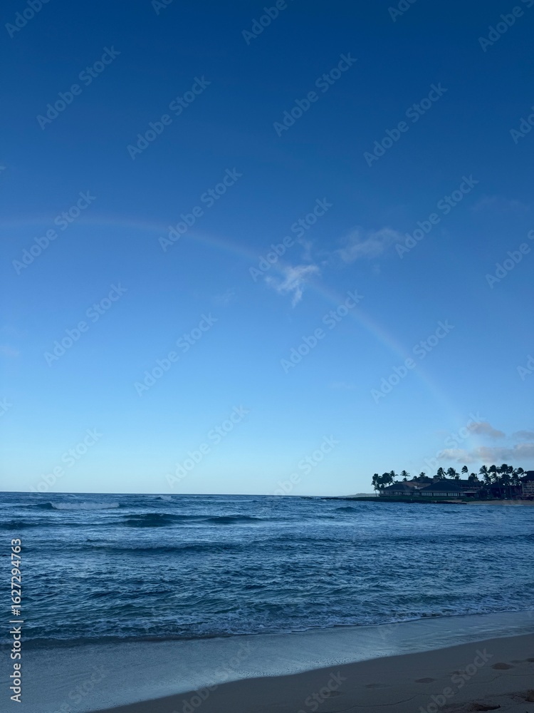 Naklejka premium rainbow over the sea and sky