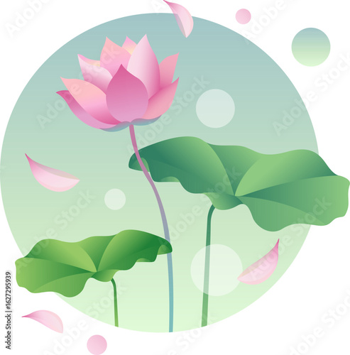 Pink lotus flower in bloom with green leaves and petals in circular composition