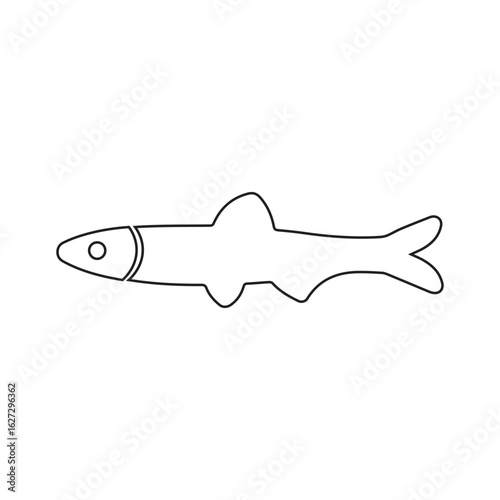 Anchovy line icon