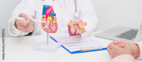 Konstfotografi Doctor with Heart anatomy model