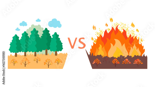 Forest fire prevention and safety tips for wildfire season and healthy forest management practices today