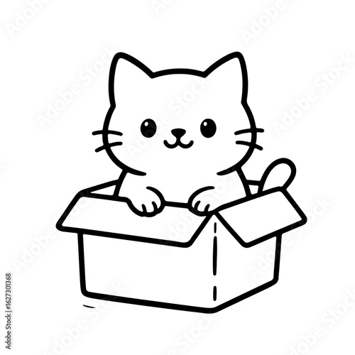 Cat in a cardboard box 