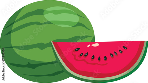 Whole and Sliced Watermelon on White Background Vector Illustration. Good appetizing summer fruit on a white background 
