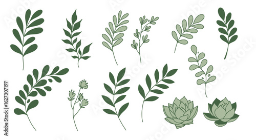 Wheat ears vector collection with natural plant elements and decorative design on white background