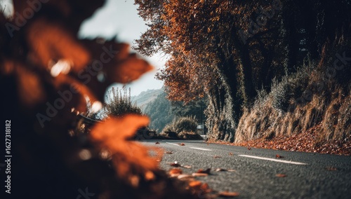 Autumnal road through a leafy tunnel