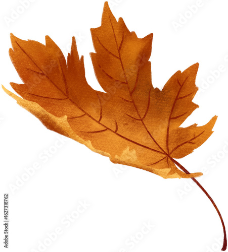 Wallpaper Mural autumn maple leaf Torontodigital.ca