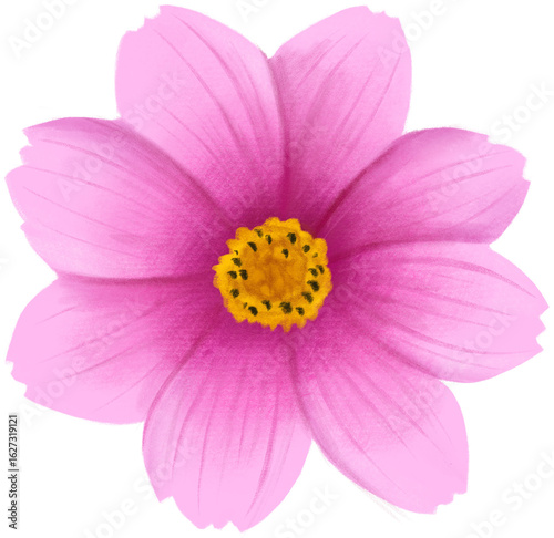 Cosmos