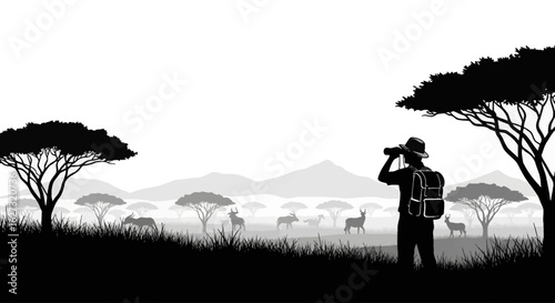 silhouette of a traveler with binoculars observing wildlife on the african savannah, isolated on a transparent background: a panoramic vector illustration