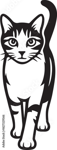 Stylized cat walking forward black and white feline, Graphic cat illustration in motion