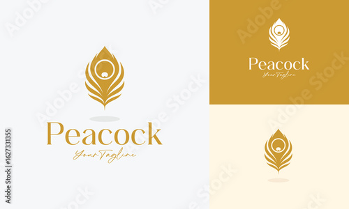 peacock feather logo design vector illustration