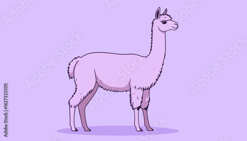 Stylized lavender llama illustration with fluffy wool and a gentle smile, standing in profile.