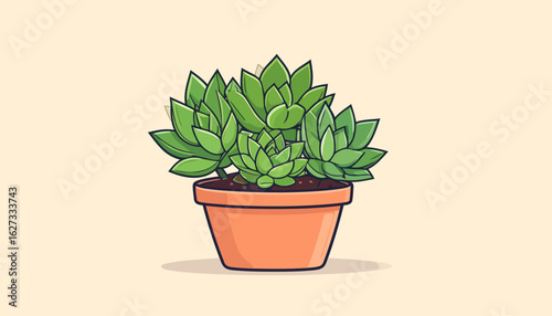 Illustrated green succulent cluster with pointed leaves in a simple orange terracotta pot.