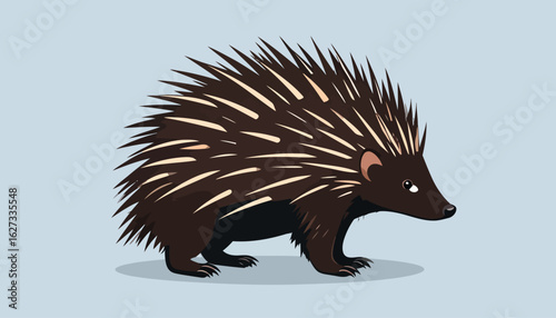 Stylized vector illustration of a brown short-beaked echidna with sharp cream spines.