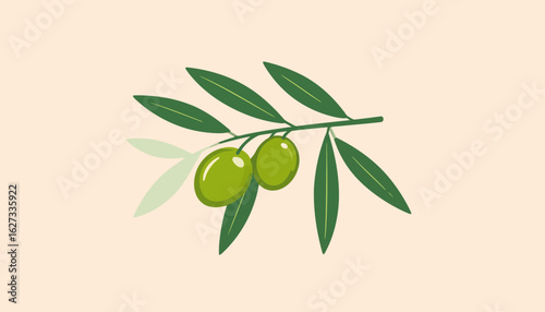 Stylized illustration of an olive branch with two shiny green olives and dark green leaves.