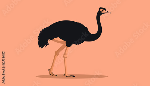 A stylized black-feathered ostrich with long legs and a curious expression.