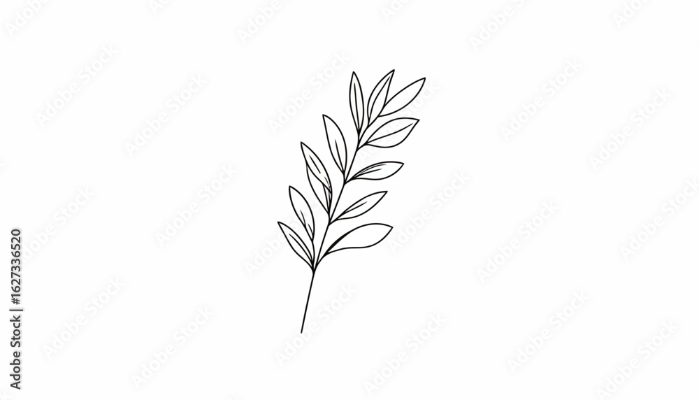 Fototapeta premium Elegant hand-drawn botanical line art of a single leafy plant sprig.