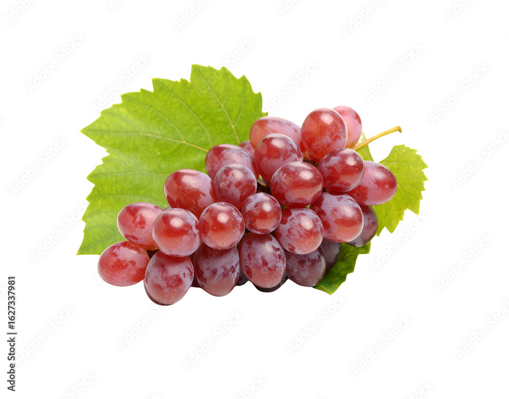 Fototapeta premium Lush bunch of ripe red grapes with a vibrant green vine leaf.