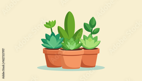 Group of three stylized succulent houseplants in terracotta pots. Flat vector illustration of various green plants.