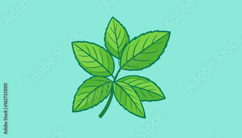 Vibrant green cartoon sprig of mint leaves with serrated edges and detailed veins.