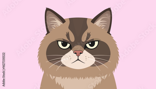 Vector illustration of a famous grumpy cat with a frowning face and displeased expression.