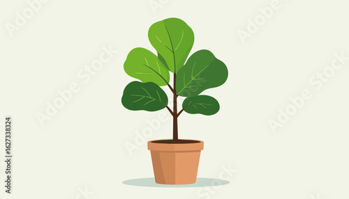 Stylized Fiddle Leaf Fig plant with large green leaves in a simple terracotta pot.