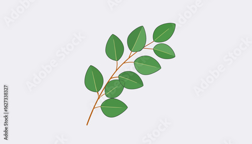 Minimalist illustration of a single eucalyptus branch with rounded green leaves.