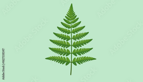 Vibrant Green Fern Leaf Illustration with Symmetrical Pinnate Leaflets and a Triangular Shape.