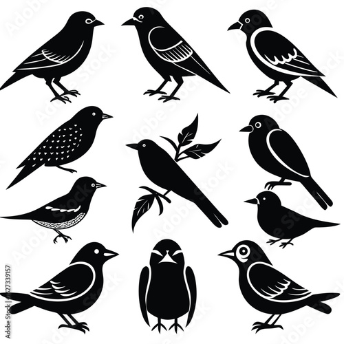 birds silhouettes