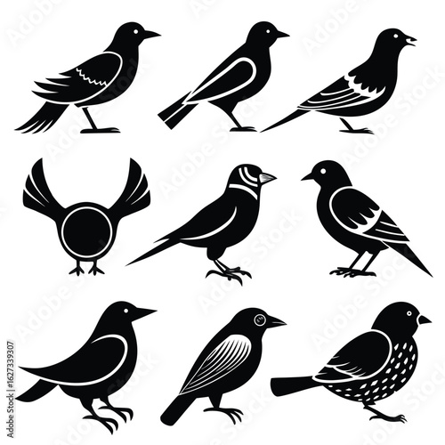 birds silhouettes