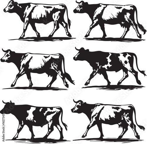 five black-and-white line art illustrations of a cow in various poses