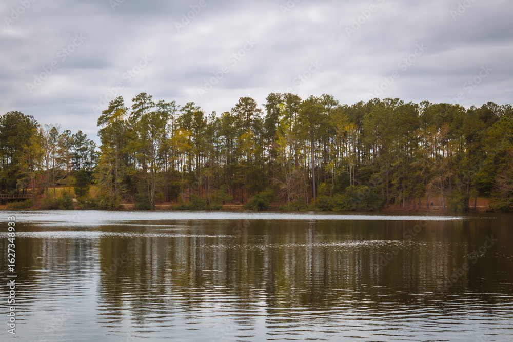 Fototapeta premium Tranquil Lake with Pine Trees and Reflections in South Carolina