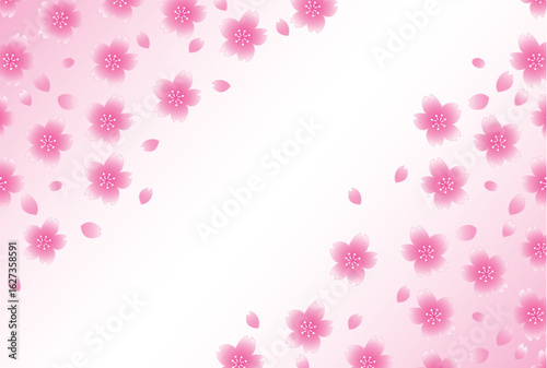 桜のポストカード
