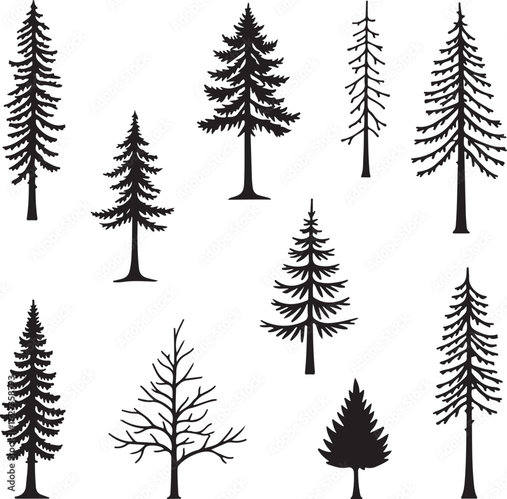 Fototapeta premium Pine Tree Silhouette Vector BundleEvergreen Tree SVG Clipart SetChristmas Tree Silhouettes for Cricut & Laser Cut