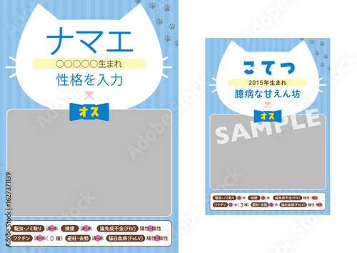 保護猫紹介_テンプレート_おす