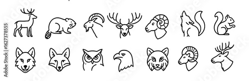 Animal, wildlife outline icon set. nature, forest creatures outline icons collection