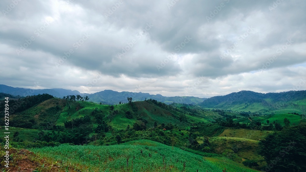Obraz premium Green mountain and valley landscape in rural Laos with cloudy sky. The dramatic sky above is filled with beautiful grey and white clouds, creating a serene, peaceful, and majestic atmosphere.