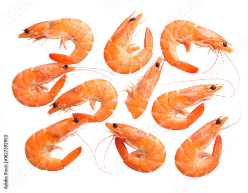 Fresh Shrimp Isolated on White Background